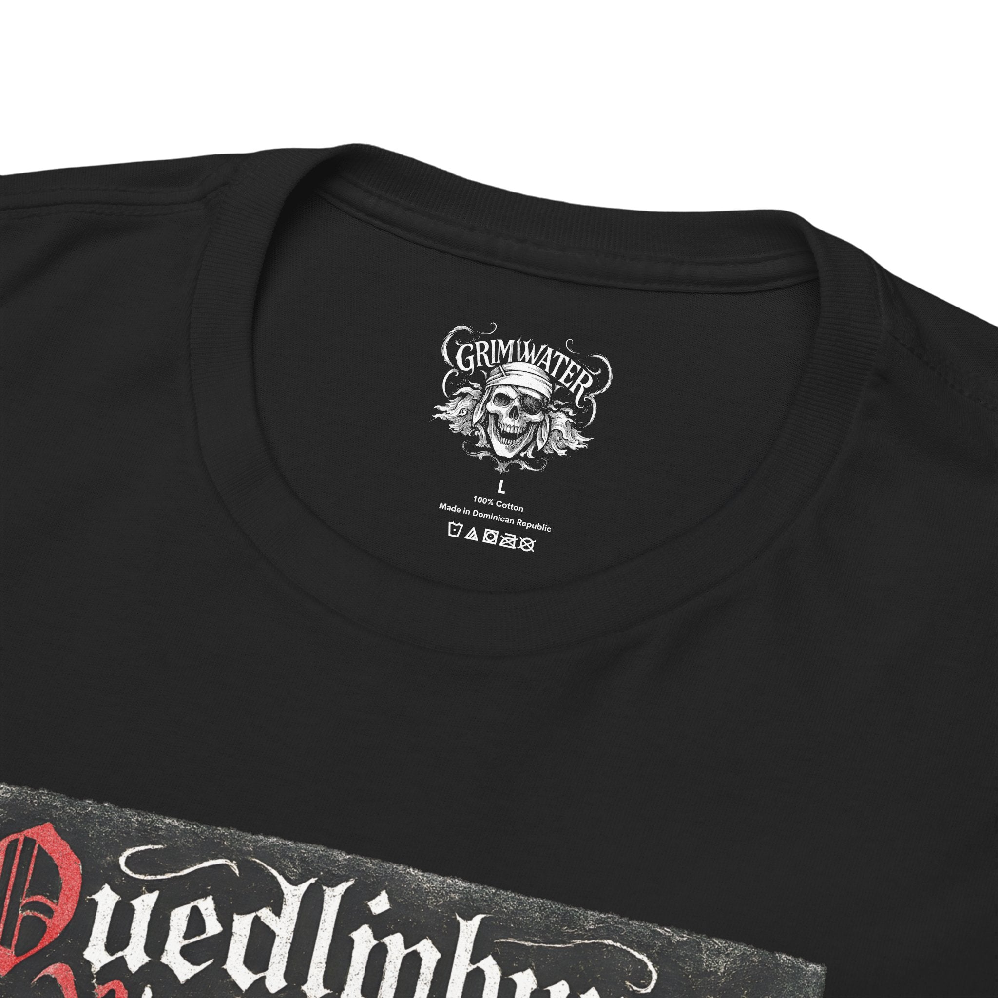 Quedlinburg im Grimwater Design – Das vergessene Erbe zwischen Nebeln und Steinen ⚰️🖤