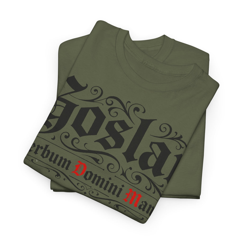 Goslar: Frontprint, Unisex T-Shirt