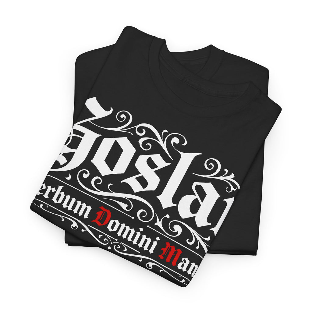 Goslar: Frontprint, Unisex T-Shirt