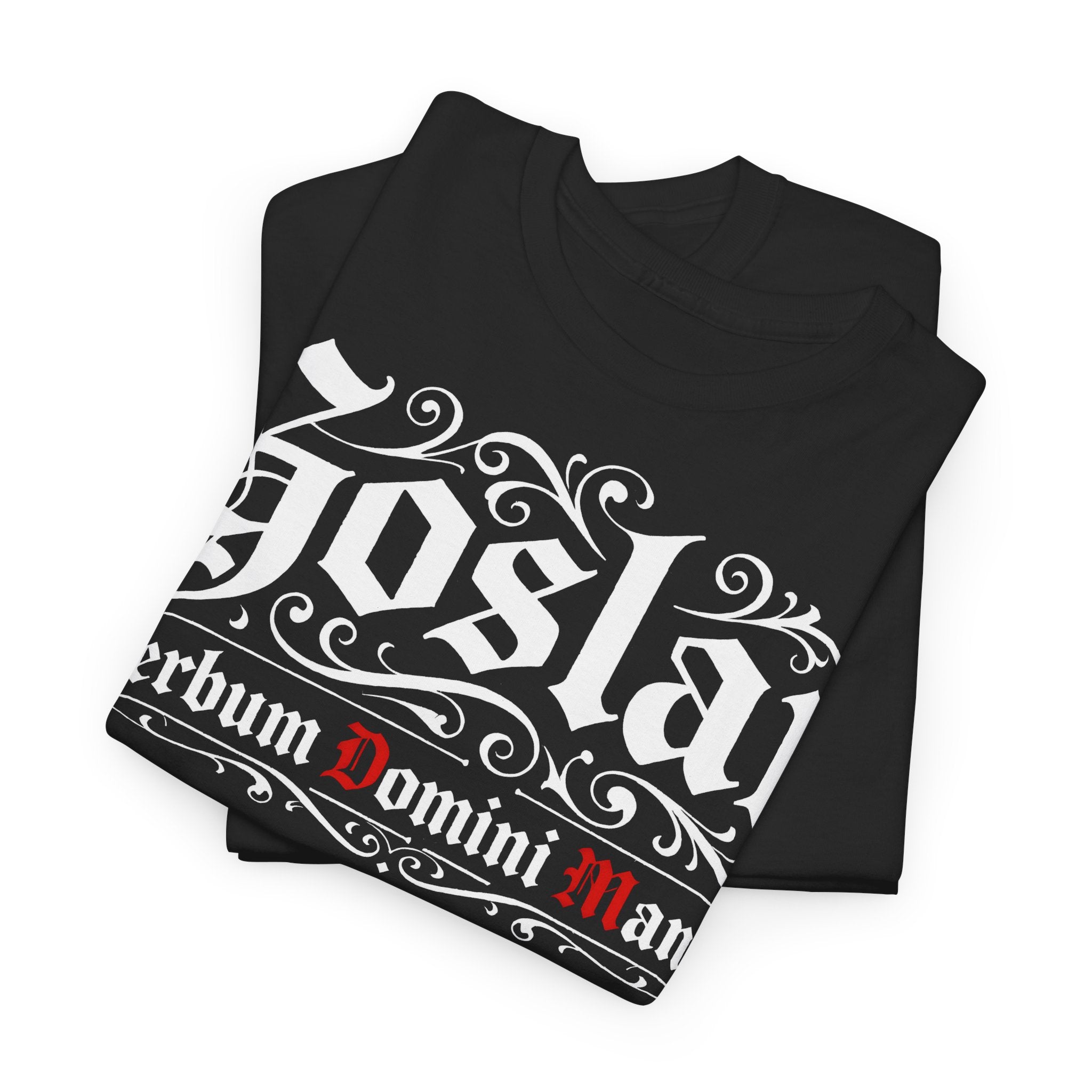 Goslar: Frontprint, Unisex T-Shirt