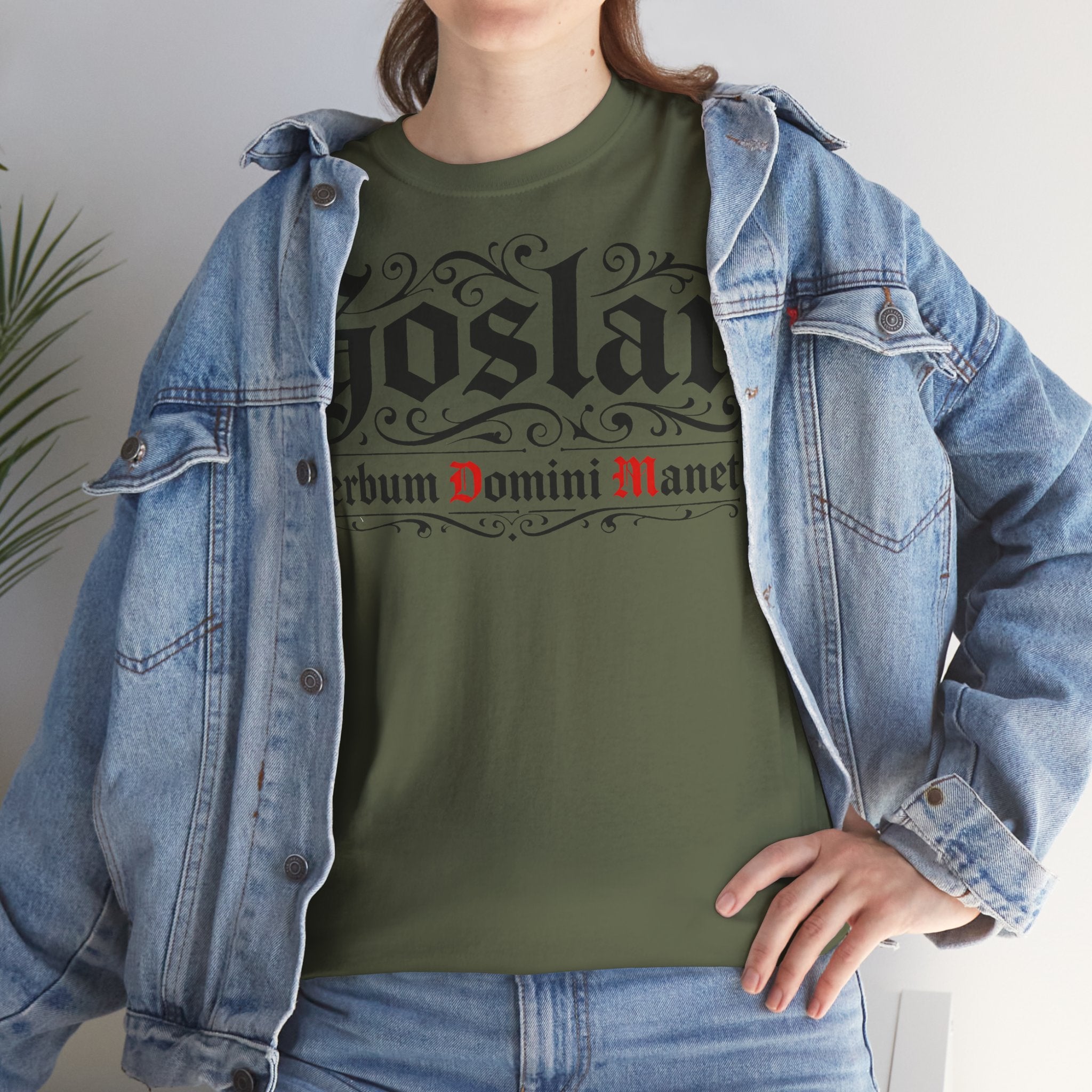 Goslar: Frontprint, Unisex T-Shirt