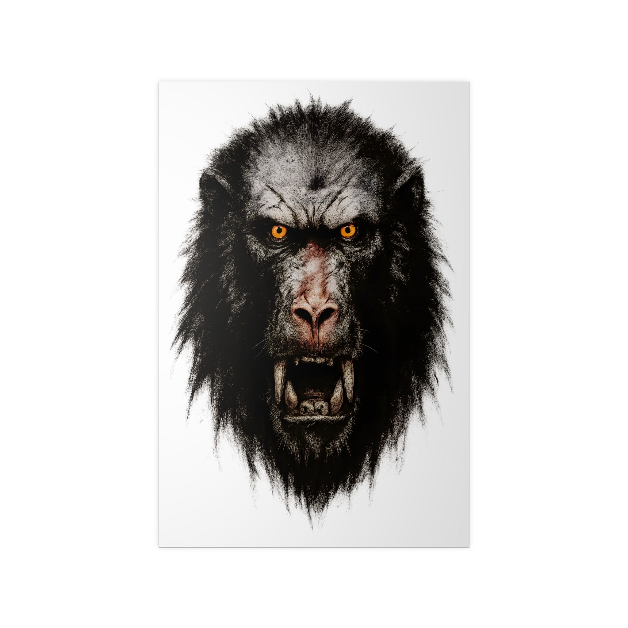 Poster 60 x 90: Pavian (Animal-Collection)