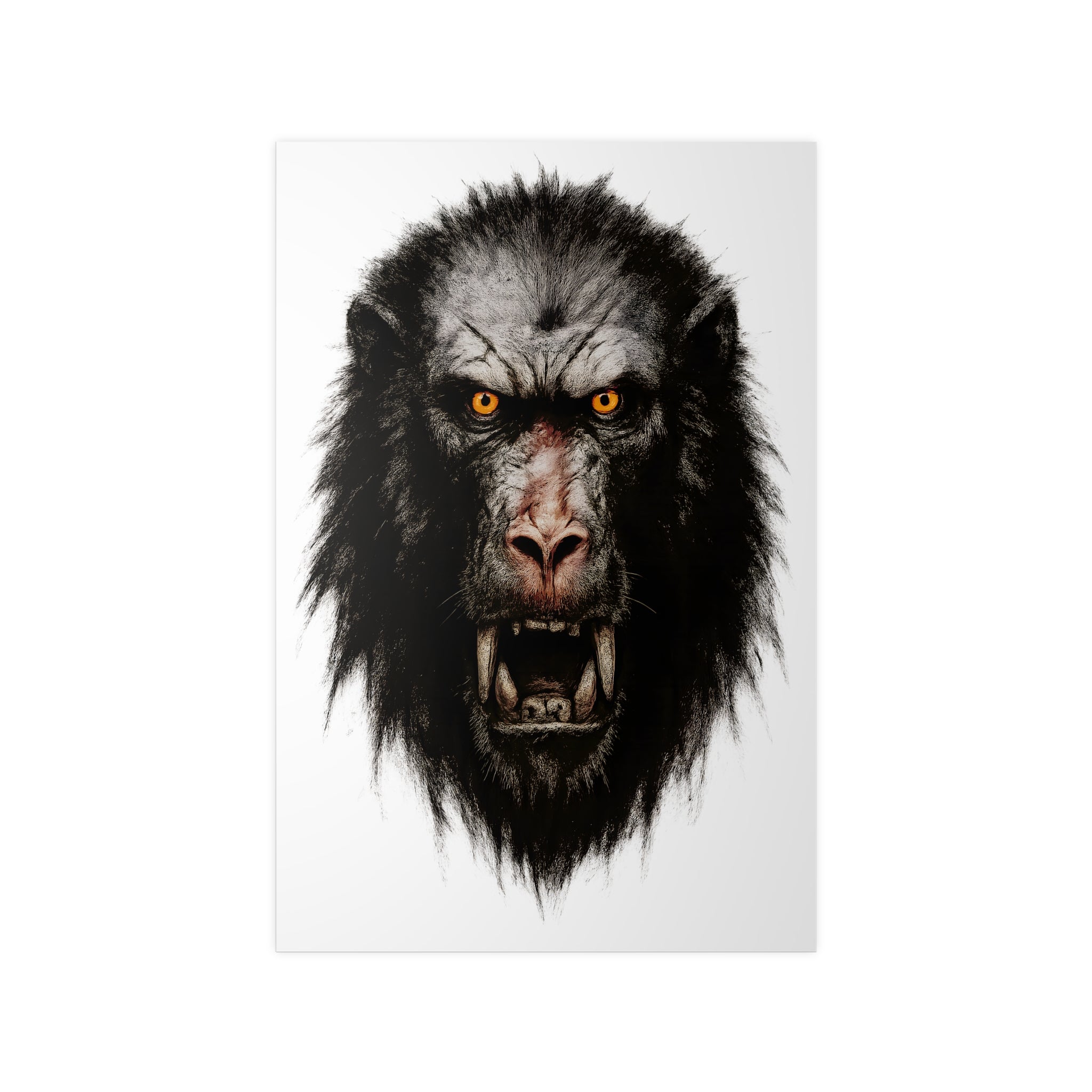 Poster 60 x 90: Pavian (Animal-Collection)