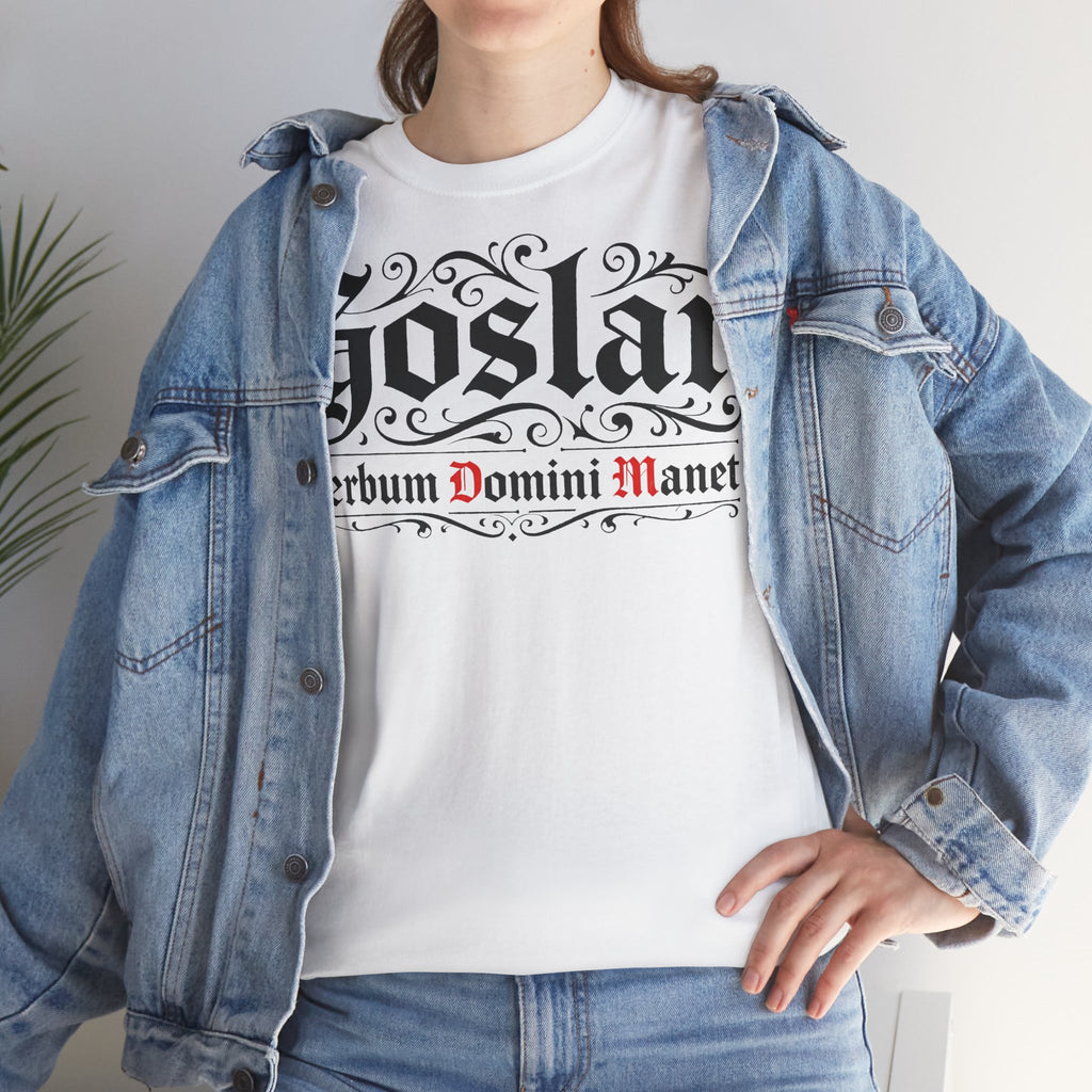 Goslar: Frontprint, Unisex T-Shirt